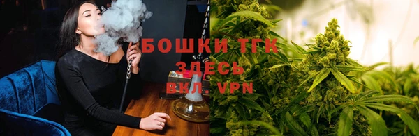 ПСИЛОЦИБИНОВЫЕ ГРИБЫ Бугульма