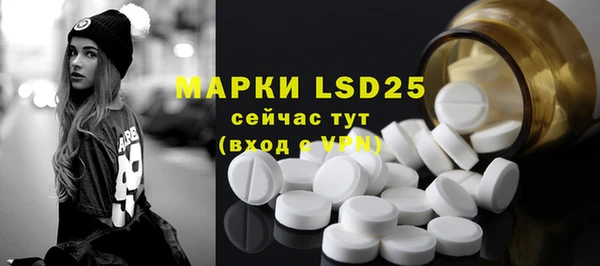 ПСИЛОЦИБИНОВЫЕ ГРИБЫ Бугульма