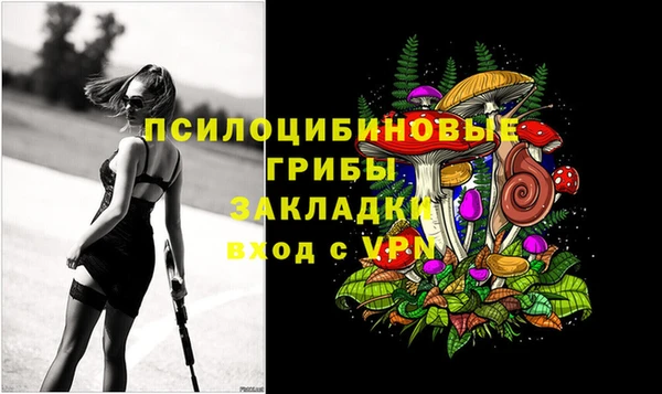 первитин Бородино